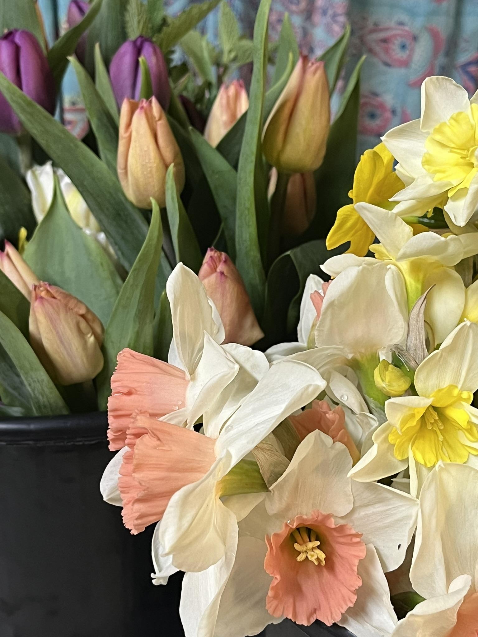 Spring CSA Membership 2026 - Image 7