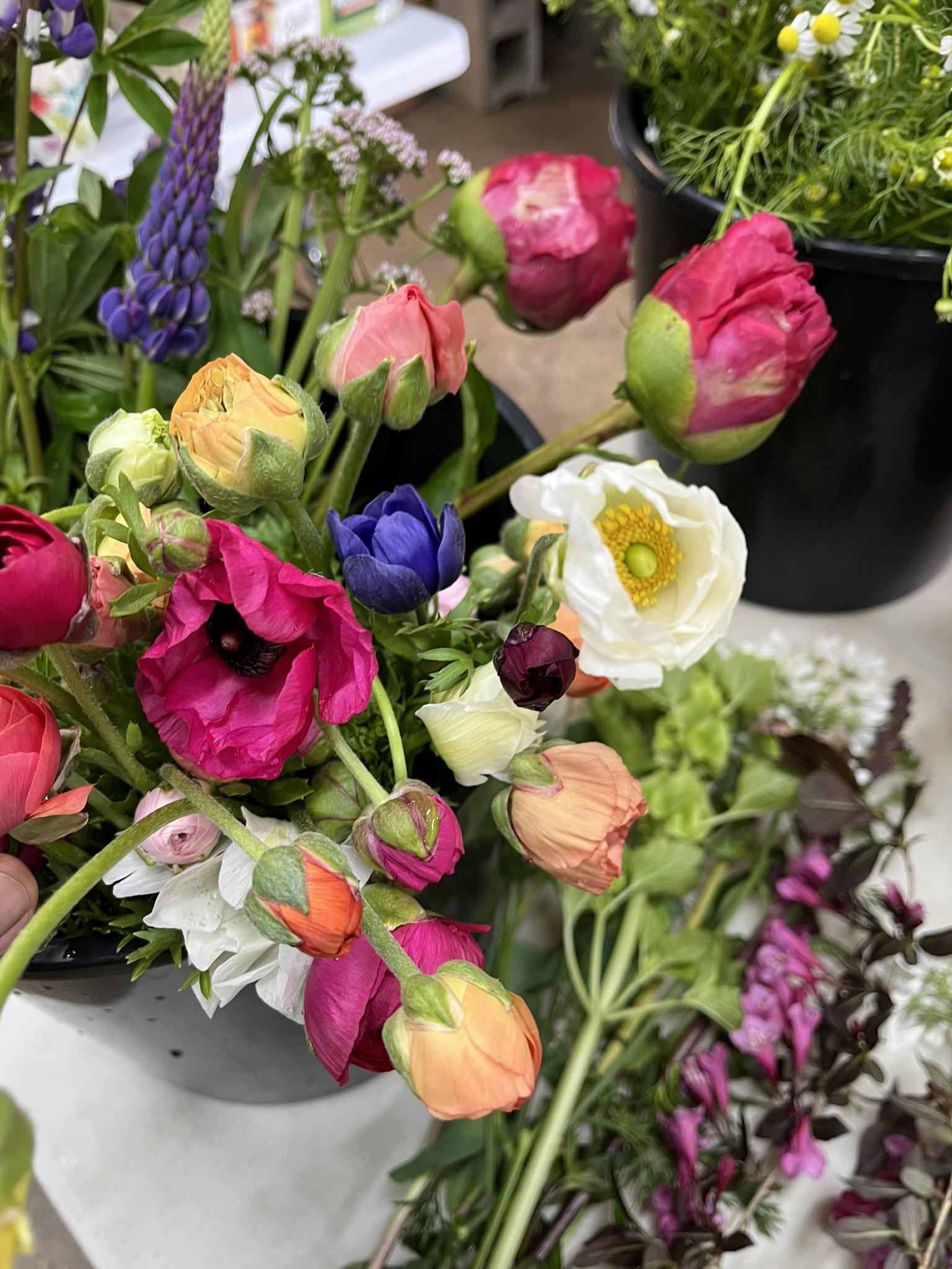 Spring CSA Membership 2026 - Image 3